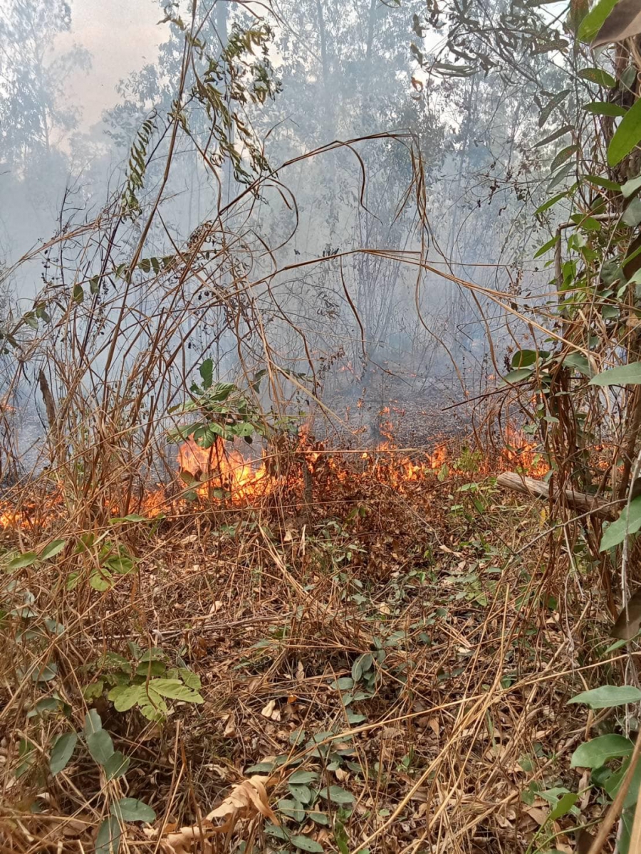 เกิดเหตุไฟไหม้ป่าซอยสวนเมโกะ บ้านปากกุดหวาย หมู่ 6