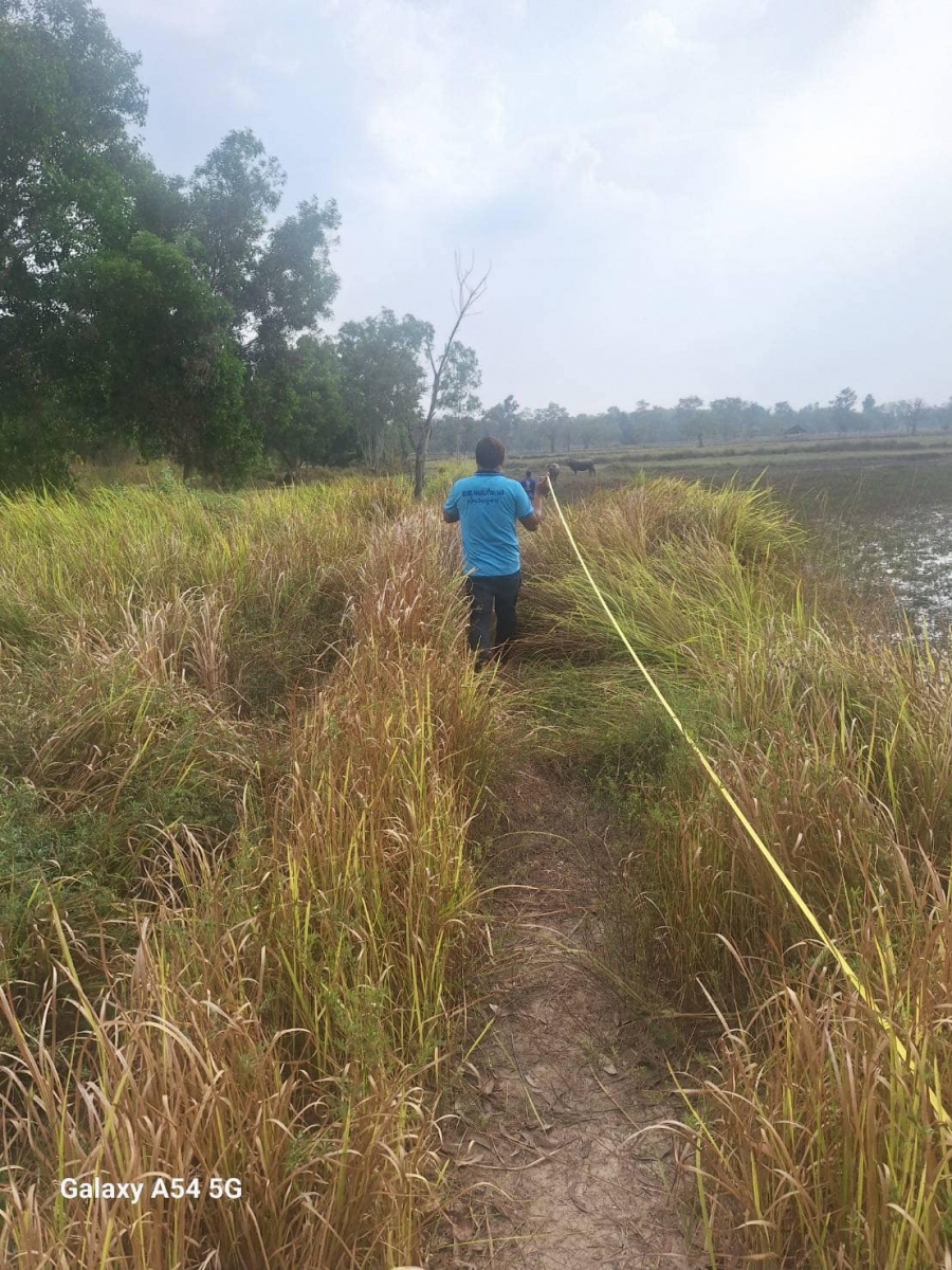 กองช่าง อบต.หนองกินเพล ลงสำรวจพื้นที่ขุดลอกเศษวัชพืชบ้านทางสาย หมู่9