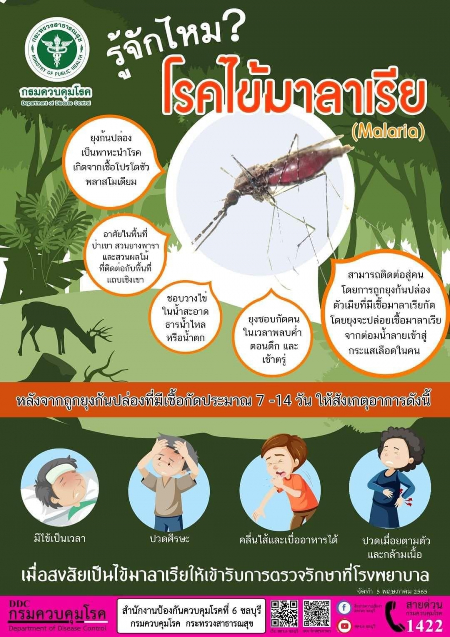 ประชาสัมพันธ์ระวัง !!!  โรคไข้มาลาเรีย (Malaria)